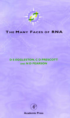 Many Faces of RNA