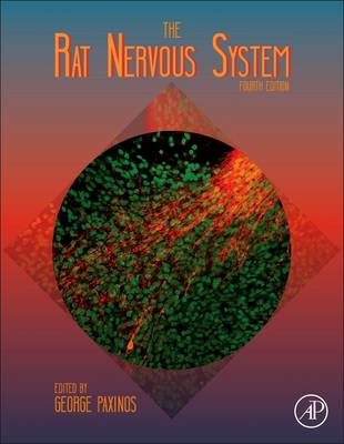 Rat Nervous System
