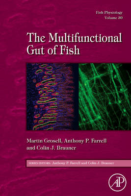 Fish Physiology: The Multifunctional Gut of Fish, Volume 30
