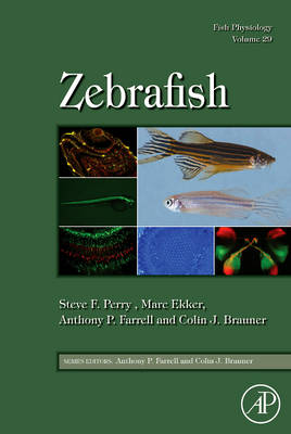 Fish Physiology: Zebrafish, Volume 29