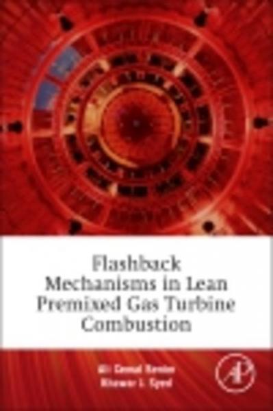 Flashback Mechanisms in Lean Premixed Gas Turbine Combustion