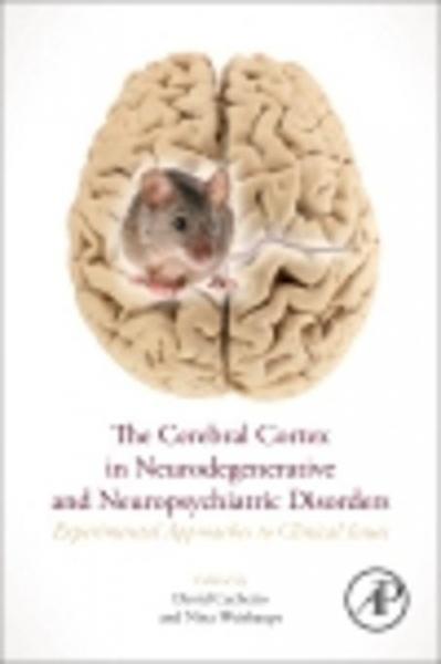 Cerebral Cortex in Neurodegenerative and Neuropsychiatric Disorders: Experimental Approaches to Clinical Issues