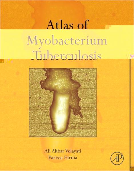 Atlas of Mycobacterium Tuberculosis