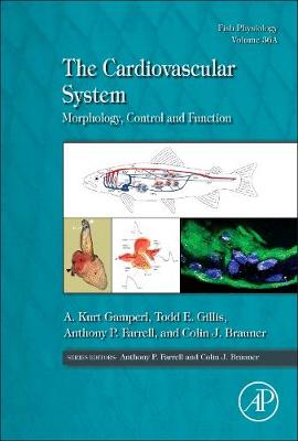 Cardiovascular System: Morphology, Control and Function, Volume 36A