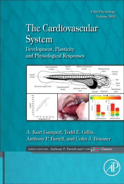 Cardiovascular System: Development, Plasticity and Physiological Responses