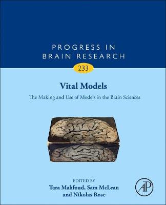 Vital Models: The Making and Use of Models in the Brain Sciences