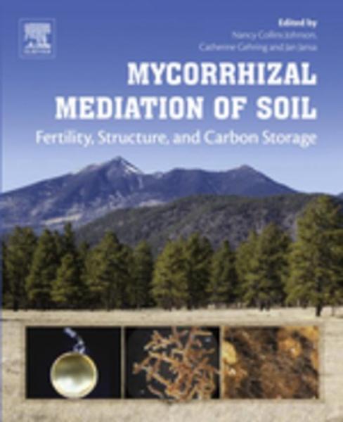 Mycorrhizal Mediation of Soil: Fertility, Structure, and Carbon Storage