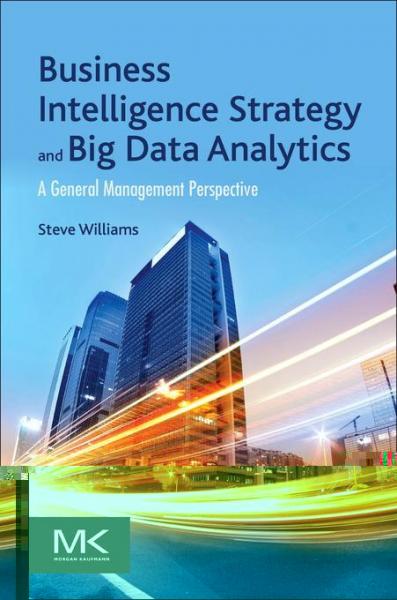 Business Intelligence Strategy and Big Data Analytics: A General Management Perspective