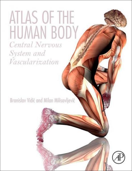 Atlas of the Human Body: Central Nervous System and Vascularization