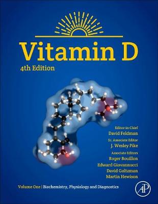 Vitamin D: Volume 1: Biochemistry, Physiology and Diagnostics 4th edition