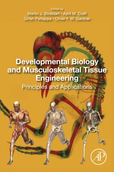 Developmental Biology and Musculoskeletal Tissue Engineering: Principles and Applications