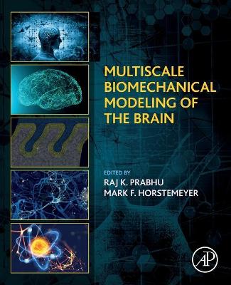 Multiscale Biomechanical Modeling of the Brain