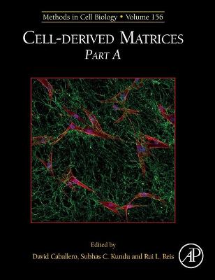 Cell-derived Matrices Part A