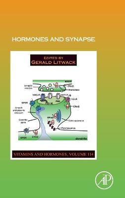 Hormones and Synapse, Volume 114