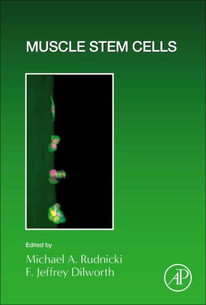 Muscle Stem Cells, Volume 158