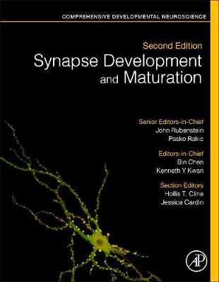 Synapse Development and Maturation: Comprehensive Developmental Neuroscience