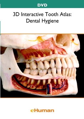 3D Interactive Tooth Atlas: Dental Hygiene