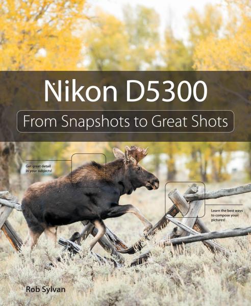 Nikon D5300: From Snapshots to Great Shots