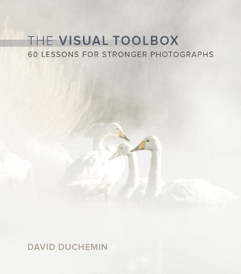 Visual Toolbox, The: 60 Lessons for Stronger Photographs