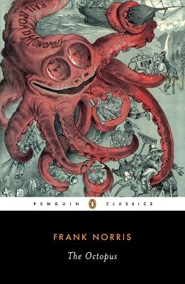 Octopus