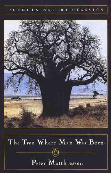 Tree Where Man Was Born