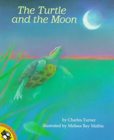 Turtle and the Moon