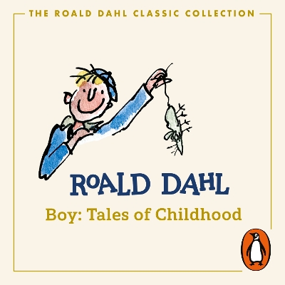 Boy: Tales of Childhood