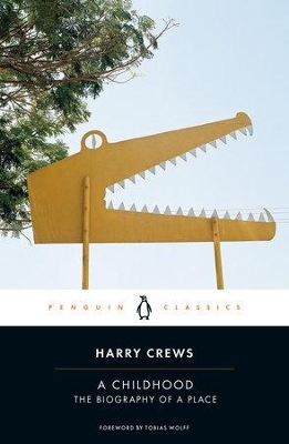 Childhood: The Biography of a Place