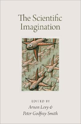 Scientific Imagination