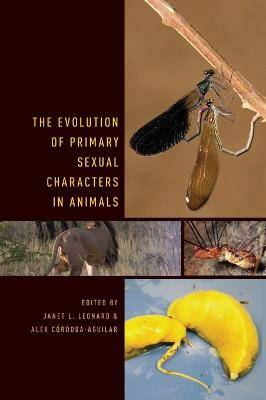 Evolution of Primary Sexual Characters in Animals