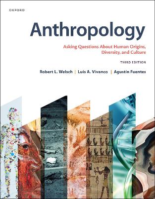 Anthropology: Asking Questions About Human Origins, Diversity, and Culture 3rd Revised edition