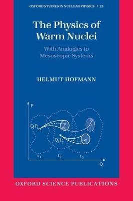 Physics of Warm Nuclei: with Analogies to Mesoscopic Systems