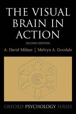 Visual Brain in Action