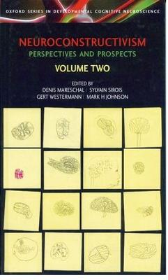 Neuroconstructivism - II: Perspectives and Prospects