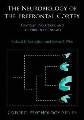 Neurobiology of the Prefrontal Cortex: Anatomy, Evolution, and the Origin of Insight