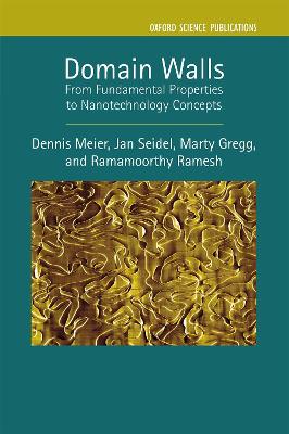 Domain Walls: From Fundamental Properties to Nanotechnology Concepts