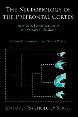 Neurobiology of the Prefrontal Cortex: Anatomy, Evolution, and the Origin of Insight