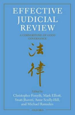 Effective Judicial Review: A Cornerstone of Good Governance