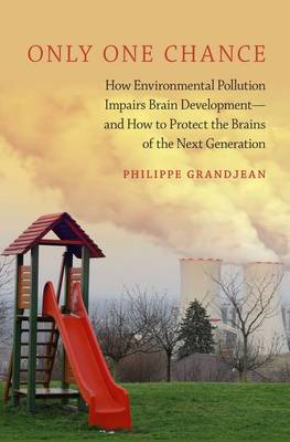 Only One Chance: How Environmental Pollution Impairs Brain Development -- and How to Protect   the Brains of the Next Generation