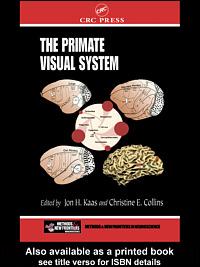 The Primate Visual System