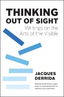 Thinking Out of Sight: Writings on the Arts of the Visible