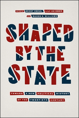 Shaped by the State: Toward a New Political History of the Twentieth Century
