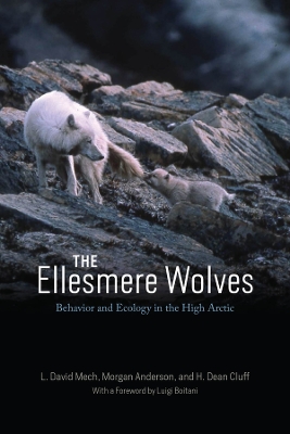 Ellesmere Wolves: Behavior and Ecology in the High Arctic
