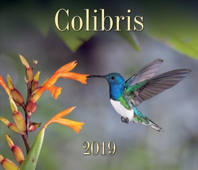 Colibris 2019