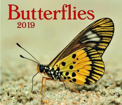 Butterflies 2019