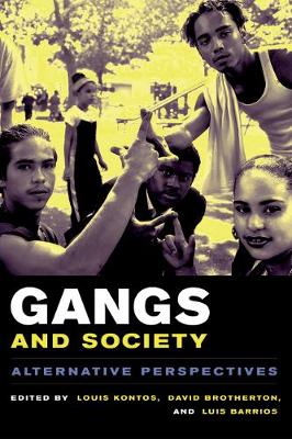 Gangs and Society: Alternative Perspectives