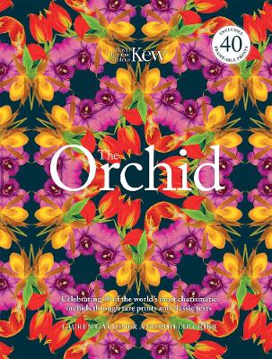 Orchid: Royal Botanic Gardens, Kew