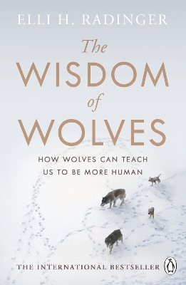 Wisdom of Wolves: How Wolves Can Teach Us To Be More Human