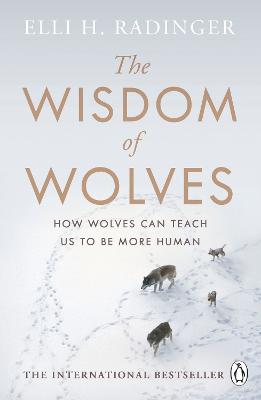 Wisdom of Wolves: How Wolves Can Teach Us To Be More Human