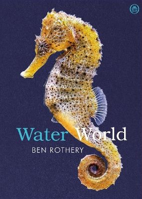 Water World: A stunning deep dive into our great oceans and the wonders beneath the waves